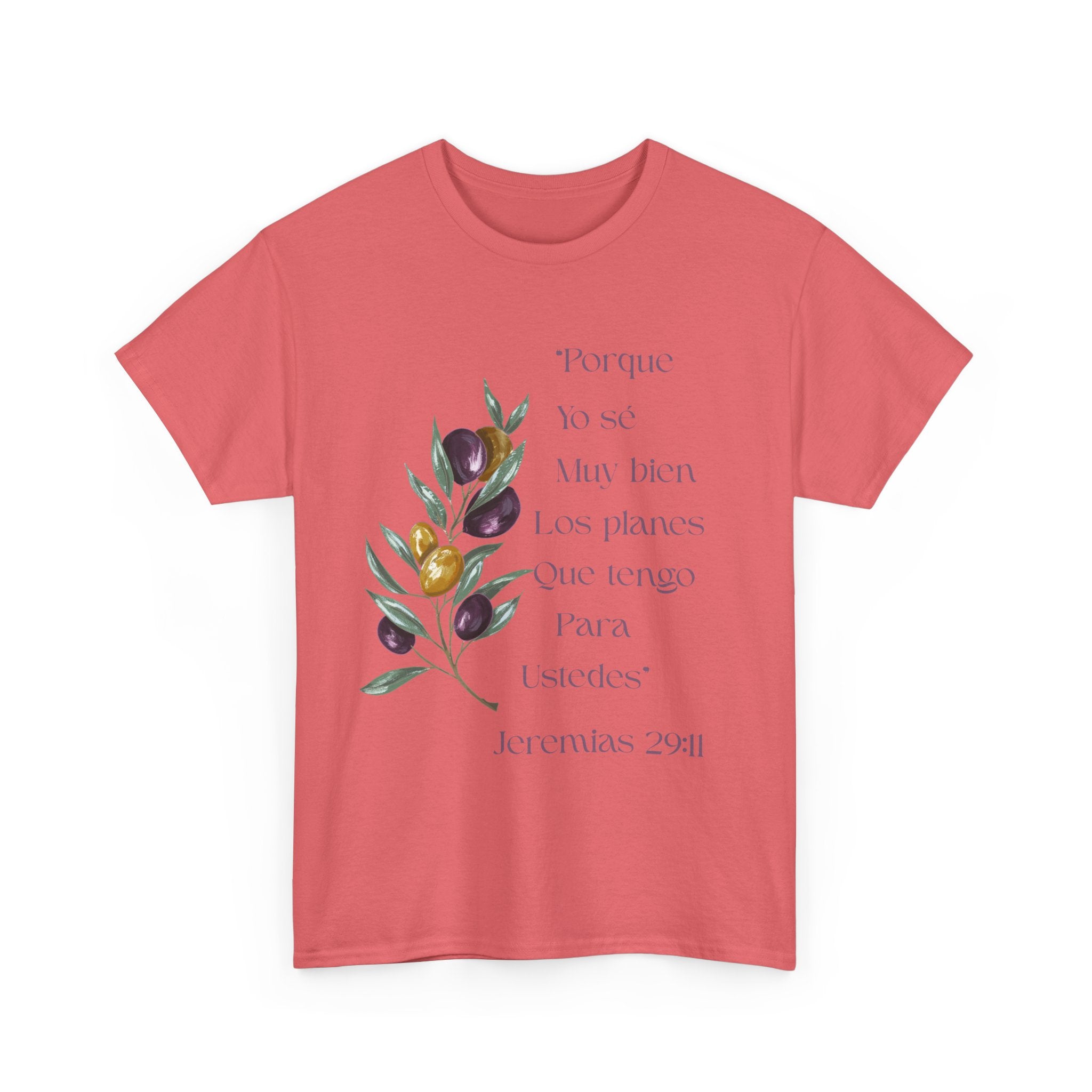 Olive Branch Scripture Tee — Jeremías 29:11 Spanish Floral Bible Verse T-Shirt