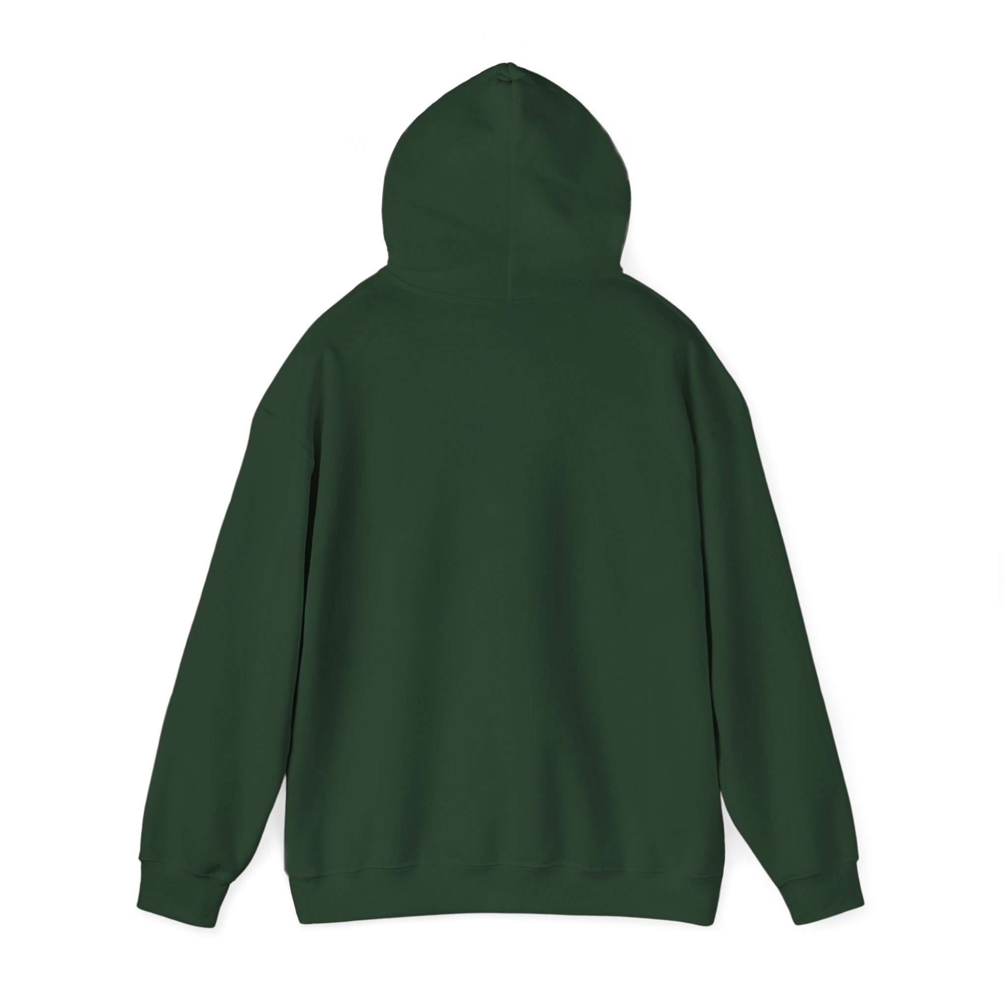 Equestrian Floral Horseshoe Hoodie, Cozy Unisex Sweatshirt, Gifts for Horse Lovers, Country Style Apparel, Birthday Gift, Festival Wear
