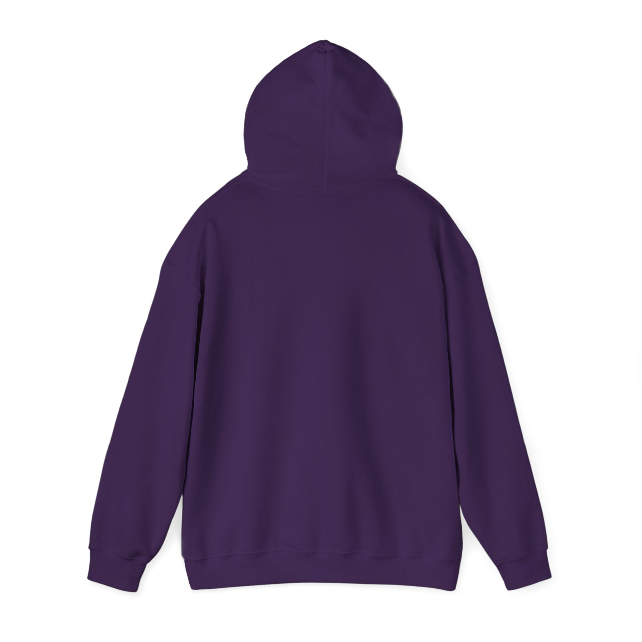 Equine Spirit Hooded Sweatshirt - Courage, Strength, Love, Gift for Horse Lovers, Cozy Wear, Equestrian Apparel, Motivational Sweatshirt