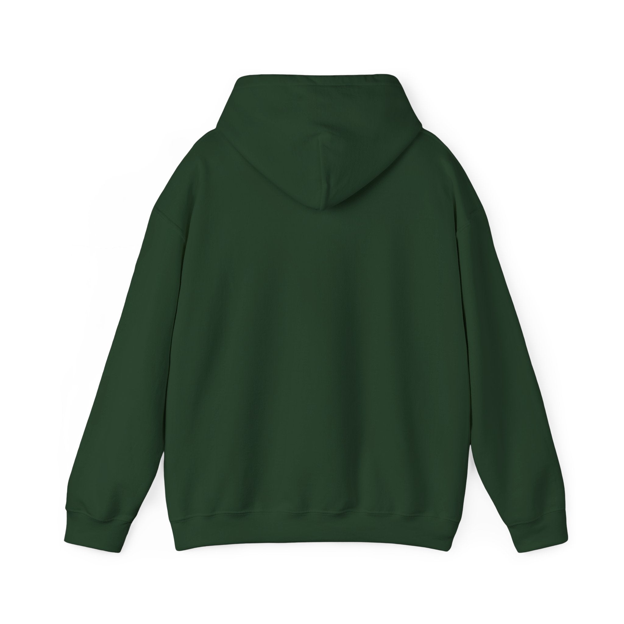 Equestrian Floral Horseshoe Hoodie, Cozy Unisex Sweatshirt, Gifts for Horse Lovers, Country Style Apparel, Birthday Gift, Festival Wear