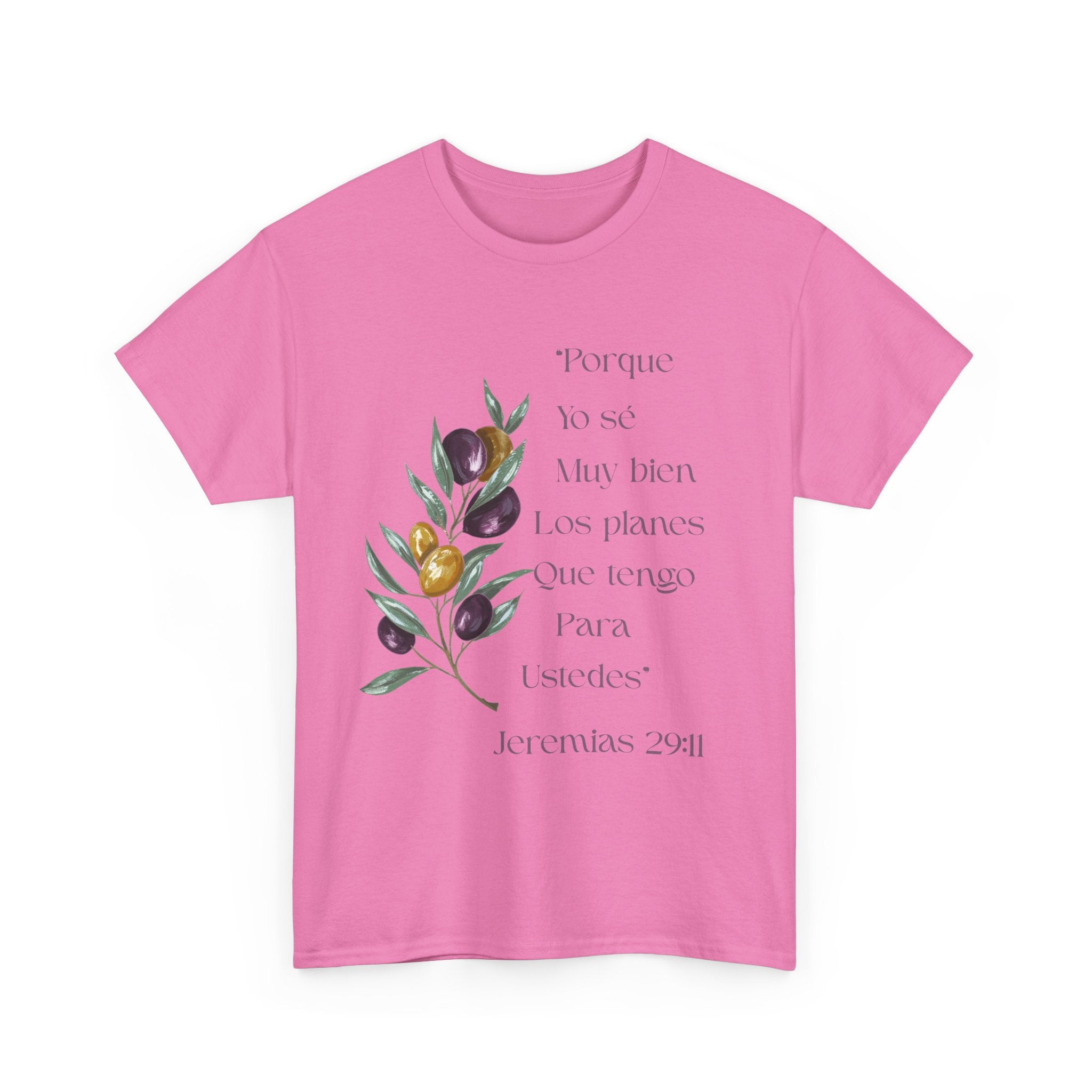 Olive Branch Scripture Tee — Jeremías 29:11 Spanish Floral Bible Verse T-Shirt